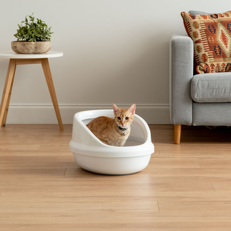 IRIS Cat Standard Litter Box & Reviews Wayfair.co.uk
